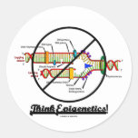 Think Epigenetics! (Cross Out DNA Replication) Round Stickers