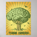 Think Green Brain Tree Poster posters