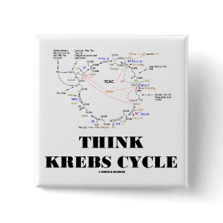 Think Krebs Cycle (Citric Acid Cycle - TCAC) button