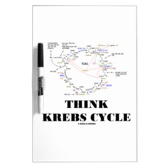 Think Krebs Cycle (Citric Acid Cycle - TCAC) Dry Erase Boards