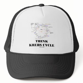Think Krebs Cycle (Citric Acid Cycle - TCAC) hat