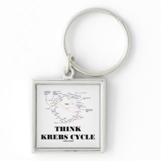 Think Krebs Cycle (Citric Acid Cycle - TCAC) keychain