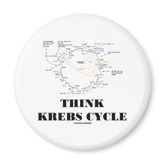 Think Krebs Cycle (Citric Acid Cycle - TCAC) magnet