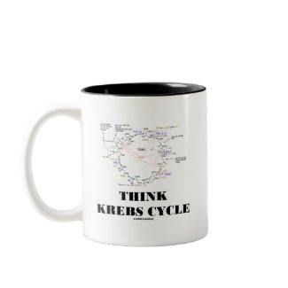 Think Krebs Cycle (Citric Acid Cycle - TCAC) mug