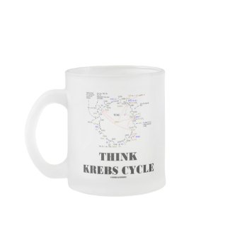 Think Krebs Cycle (Citric Acid Cycle - TCAC) mug