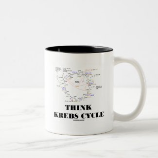 Think Krebs Cycle (Citric Acid Cycle - TCAC) Mug