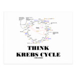 Think Krebs Cycle (Citric Acid Cycle - TCAC) Postcard