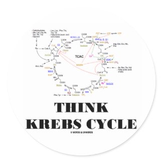 Think Krebs Cycle (Citric Acid Cycle - TCAC) sticker