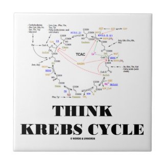 Think Krebs Cycle (Citric Acid Cycle TCAC) Tile