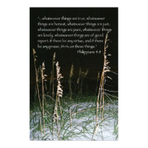 Think on these Things Scripture poster - Version B posters