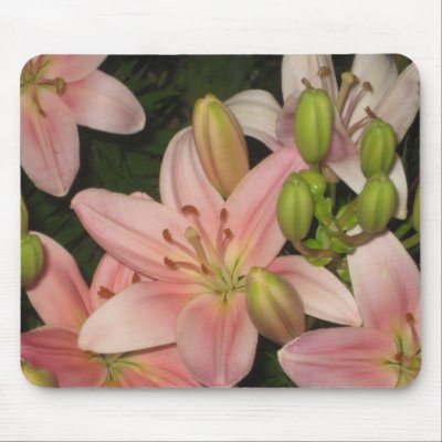 Think Pink Mouse Mat by mindcrime41