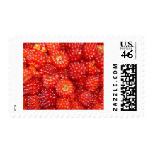THINK RASPBERRY! STAMP