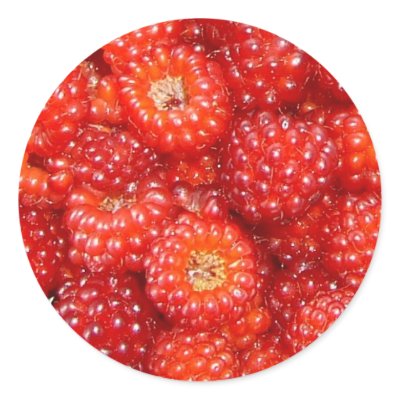 THINK RASPBERRY! round sticker