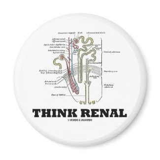 Think Renal (Kidney Nephron) magnet