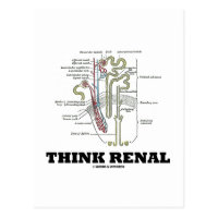 Think Renal (Kidney Nephron) Postcard