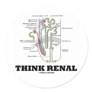 Think Renal (Kidney Nephron) sticker