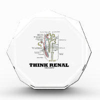 Think Renal (Nephron Anatomy Illustration) Awards