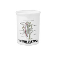 Think Renal (Nephron Anatomy Illustration) Beverage Pitchers