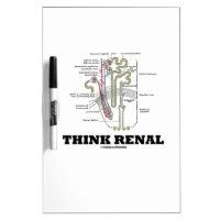 Think Renal (Nephron Anatomy Illustration) Dry-Erase Whiteboard