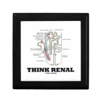 Think Renal (Nephron Anatomy Illustration) Jewelry Box