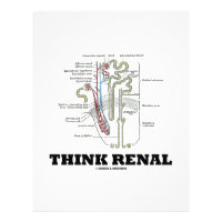 Think Renal (Nephron Anatomy Illustration) Letterhead