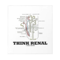 Think Renal (Nephron Anatomy Illustration) Memo Notepad