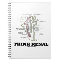 Think Renal (Nephron Anatomy Illustration) Notebook