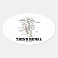 Think Renal (Nephron Anatomy Illustration) Oval Sticker