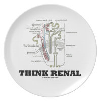 Think Renal (Nephron Anatomy Illustration) Party Plates