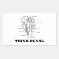 Think Renal (Nephron Anatomy Illustration) Rectangular Sticker