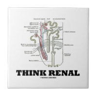 Think Renal (Nephron Anatomy Illustration) Small Square Tile