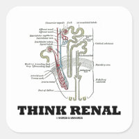 Think Renal (Nephron Anatomy Illustration) Square Sticker
