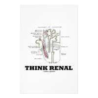 Think Renal (Nephron Anatomy Illustration) Stationery