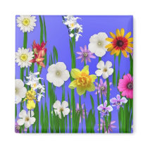 Think Spring magnets