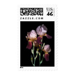 Think Spring Postage Stamp