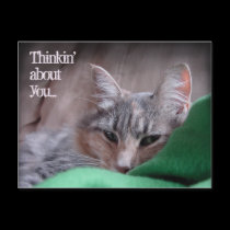 Thinkin' about you... postcards