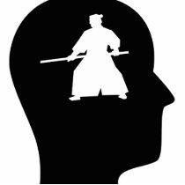 Thinking About Aikido photo sculptures