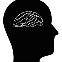 Thinking About Neuroscience photo sculptures