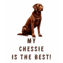 Thinking Chesapeakes are the best t-shirts by samack Thinking Chesapeakes are the best t-shirts
