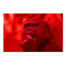 Thinking Gorilla Post Card