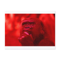 Thinking Gorilla Post Card