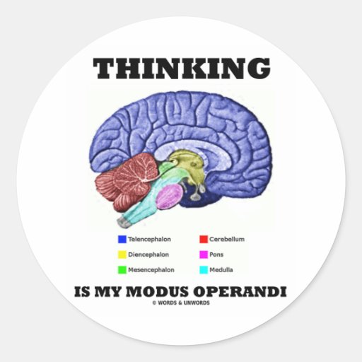 Thinking Is My Modus Operandi (Brain Anatomy) Sticker