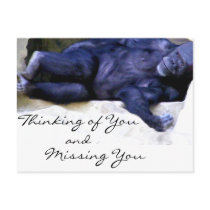 Thinking/Missing You_ Postcard