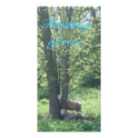 Thinking of ewe note card photo cards