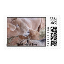 Thinking of Ewe postage by teamtolerpics Thinking of Ewe postage
