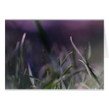 Thinking of Summer Card