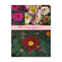 Thinking of you (and sending flowers...) postcards