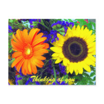 Thinking of you/Any Occasions_Postcard