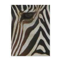 Thinking of you/Any Occasions_Postcard by ELENNE Thinking of you/Any Occasions_Postcard