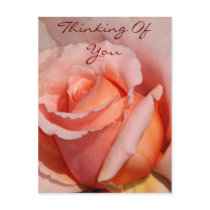 Thinking of You/ Any Occasions_Postcard